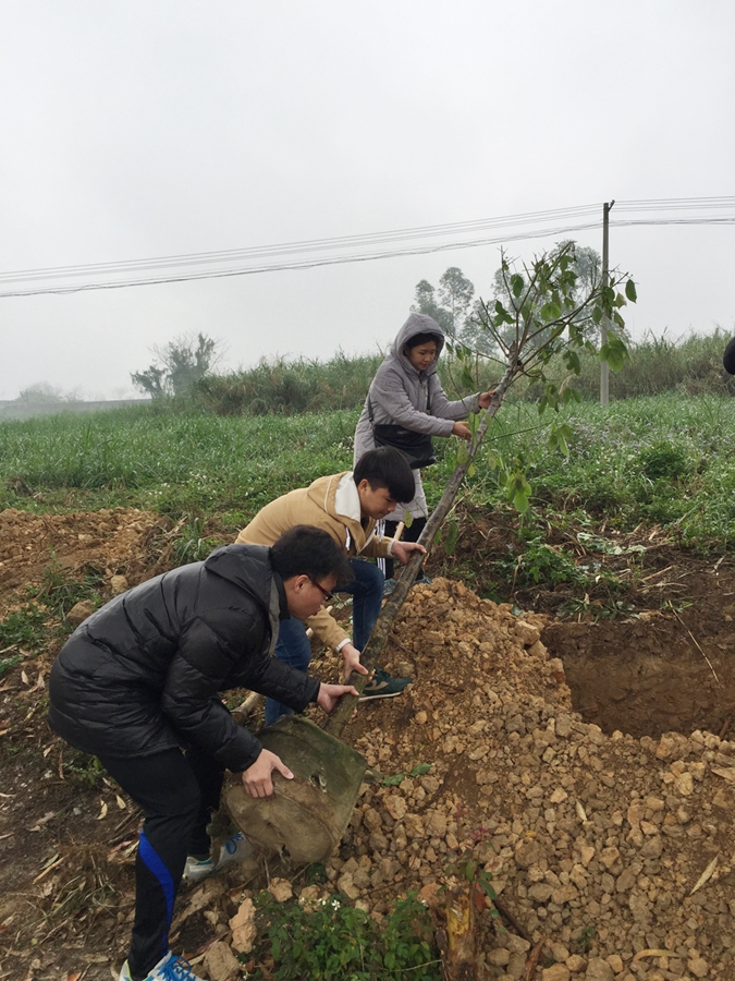 image001.jpg image001.jpg