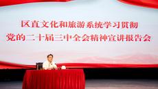 区直文化和旅游系统学习贯彻党的二十届三中全会 精神宣讲报告会在开云手机登录入口举行